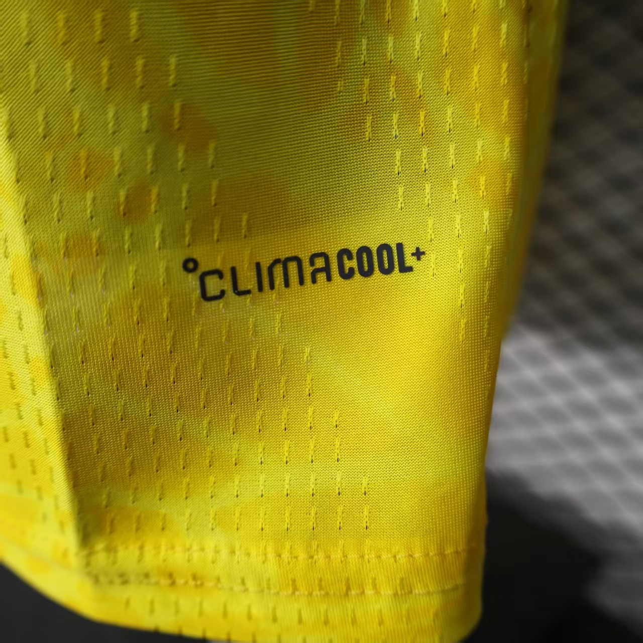 dde52b25 26 Colombian Lord - Image 3